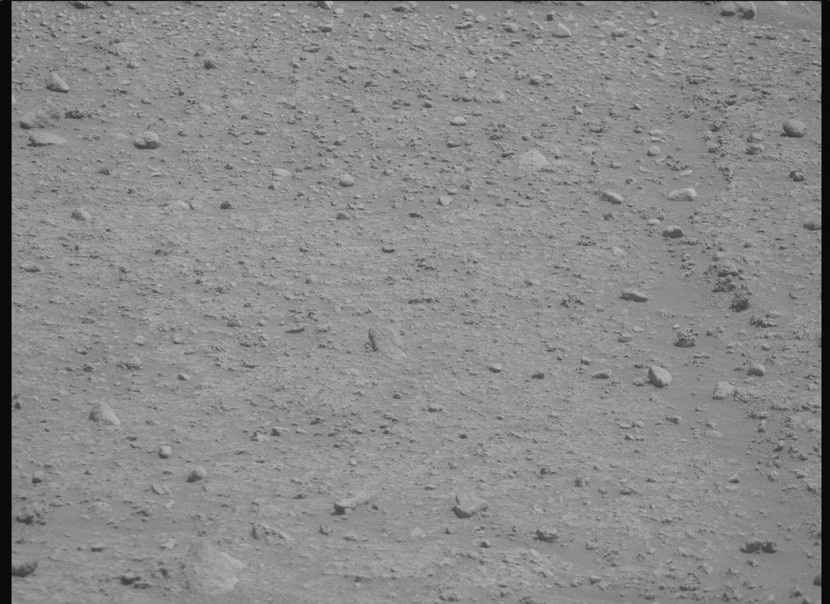 This image was taken by MCZ_RIGHT onboard NASA's Mars rover Perseverance on Sol 890
