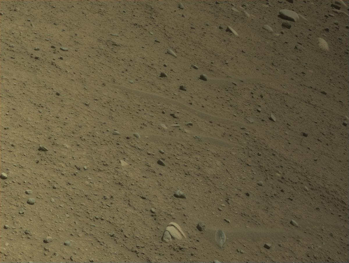 This image was taken by NAVCAM_LEFT onboard NASA's Mars rover Perseverance on Sol 893