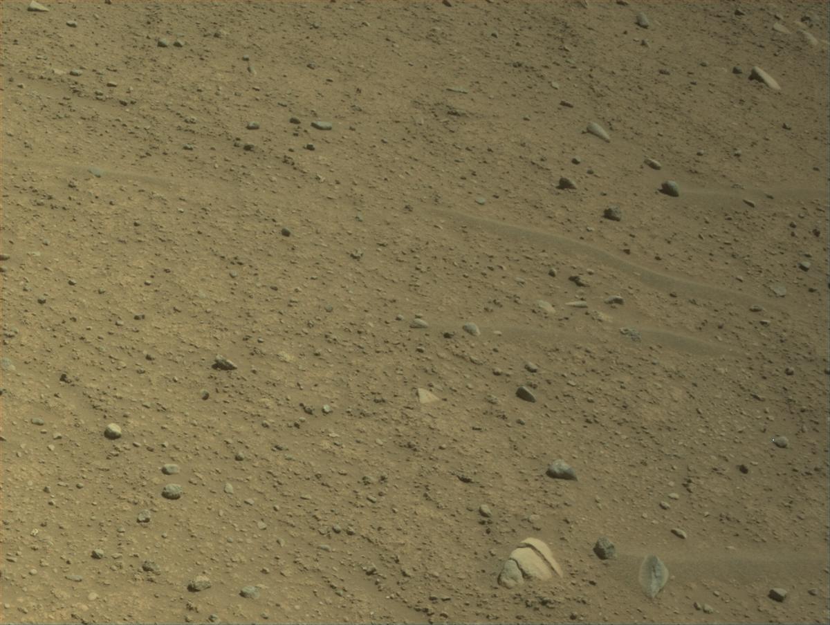 This image was taken by NAVCAM_RIGHT onboard NASA's Mars rover Perseverance on Sol 893