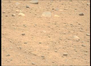 View image taken on Mars, Mars Perseverance Sol 893: Left Mastcam-Z Camera