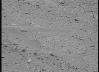 View image taken on Mars, Mars Perseverance Sol 893: Left Mastcam-Z Camera