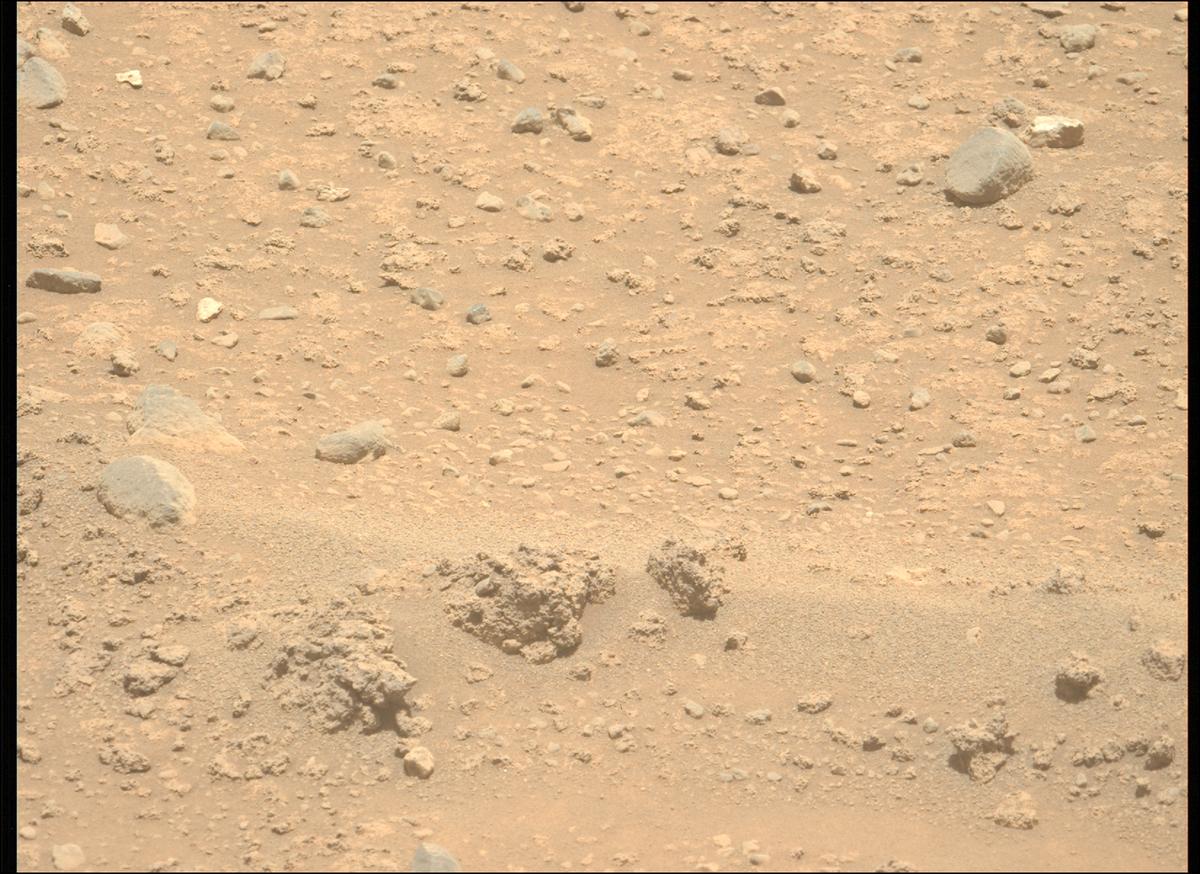 This image was taken by MCZ_LEFT onboard NASA's Mars rover Perseverance on Sol 893