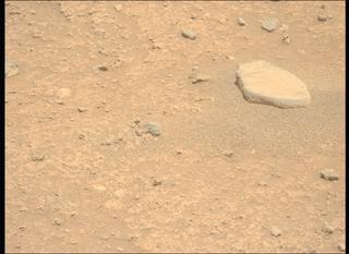 View image taken on Mars, Mars Perseverance Sol 893: Left Mastcam-Z Camera