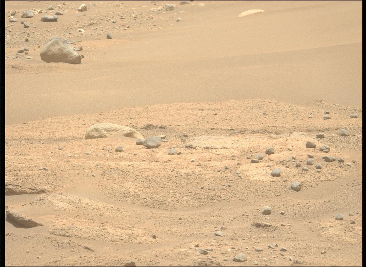 This image was taken by MCZ_LEFT onboard NASA's Mars rover Perseverance on Sol 893