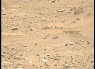 View image taken on Mars, Mars Perseverance Sol 893: Left Mastcam-Z Camera
