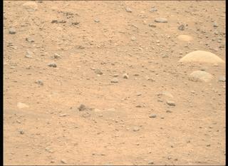 View image taken on Mars, Mars Perseverance Sol 893: Right Mastcam-Z Camera