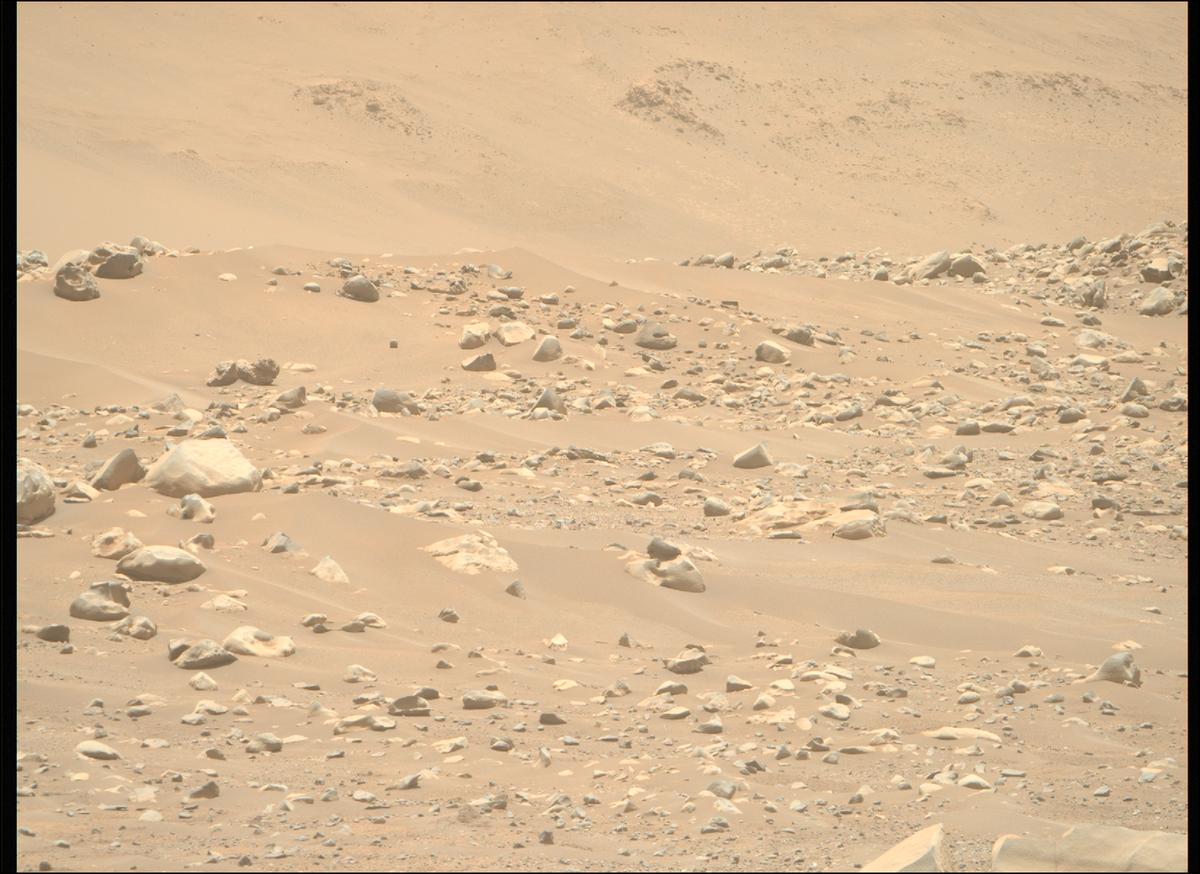 This image was taken by MCZ_RIGHT onboard NASA's Mars rover Perseverance on Sol 893