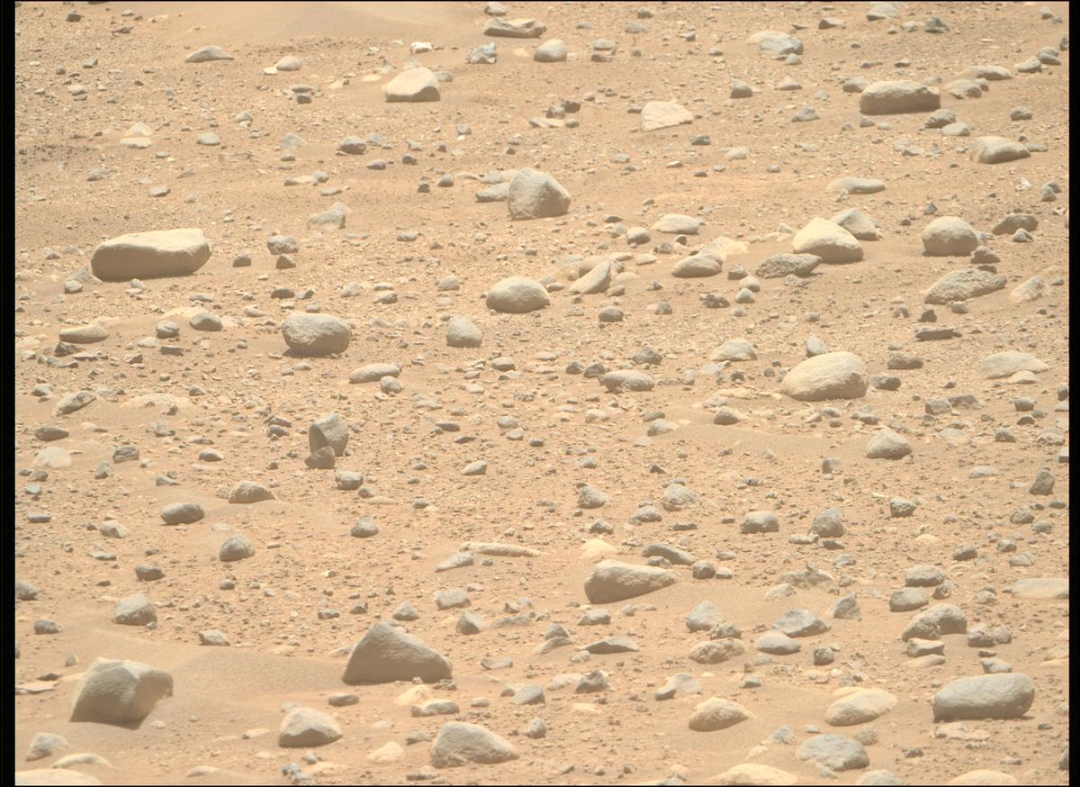 This image was taken by MCZ_RIGHT onboard NASA's Mars rover Perseverance on Sol 893