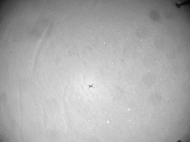 This image was taken by HELI_NAV onboard NASA's Mars rover Perseverance on Sol 894