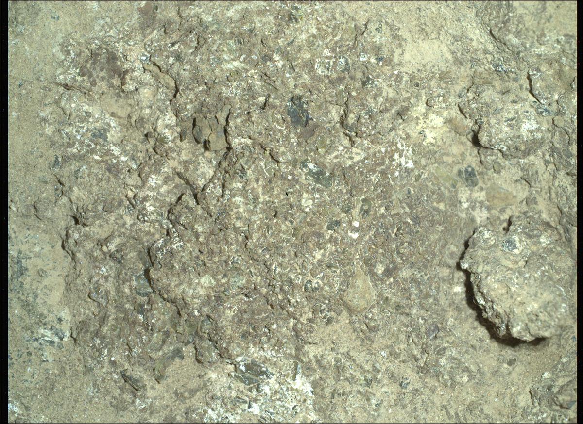 This image was taken by SHERLOC_WATSON onboard NASA's Mars rover Perseverance on Sol 894
