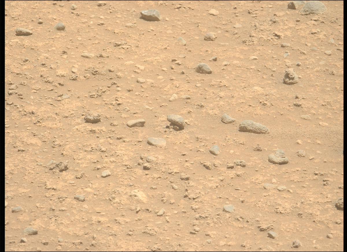 This image was taken by MCZ_LEFT onboard NASA's Mars rover Perseverance on Sol 894