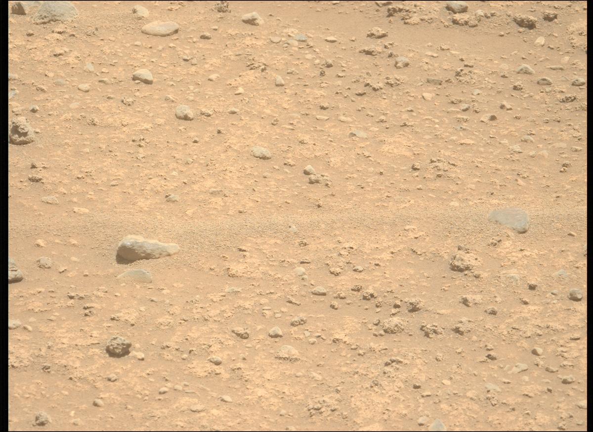 This image was taken by MCZ_LEFT onboard NASA's Mars rover Perseverance on Sol 894