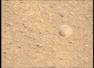 View image taken on Mars, Mars Perseverance Sol 894: Left Mastcam-Z Camera
