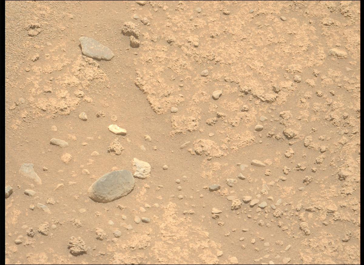 This image was taken by MCZ_LEFT onboard NASA's Mars rover Perseverance on Sol 894