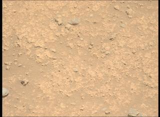 View image taken on Mars, Mars Perseverance Sol 894: Left Mastcam-Z Camera