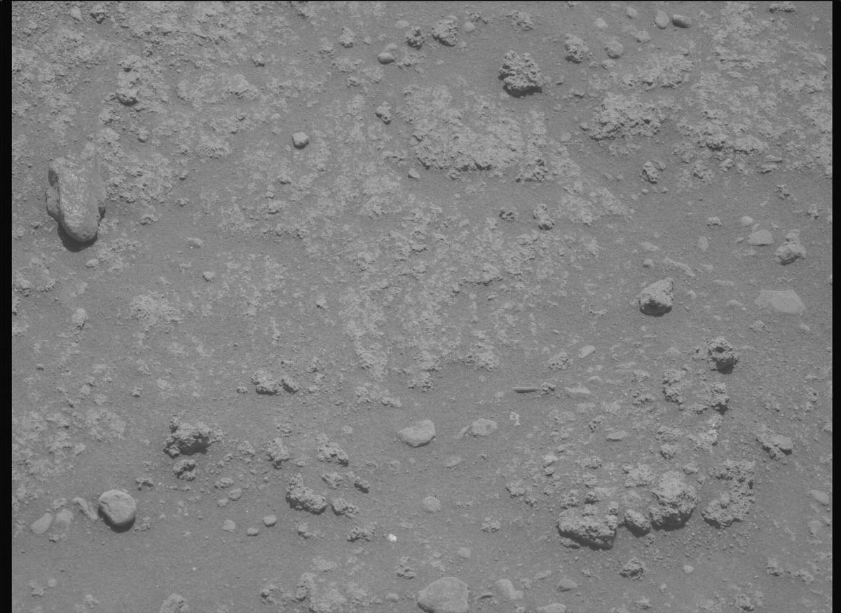 This image was taken by MCZ_LEFT onboard NASA's Mars rover Perseverance on Sol 894