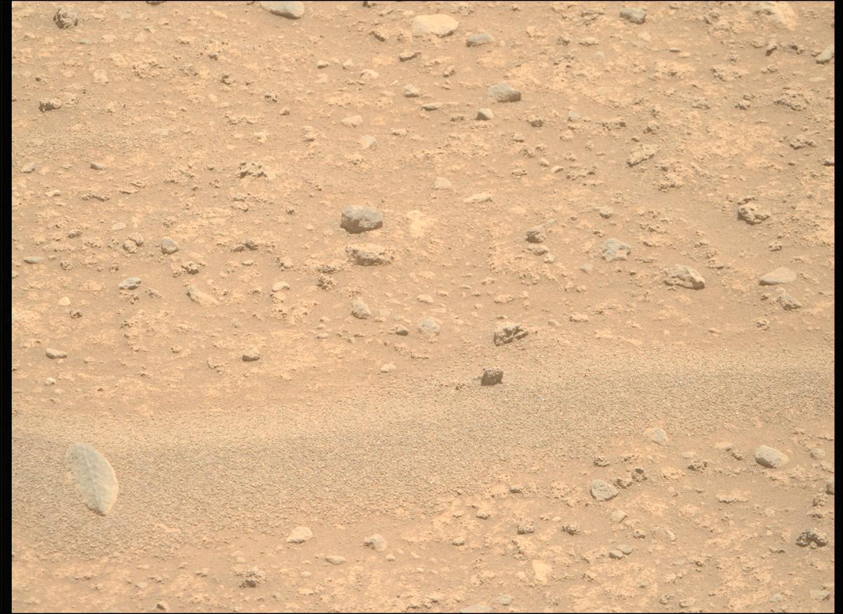 This image was taken by MCZ_RIGHT onboard NASA's Mars rover Perseverance on Sol 894