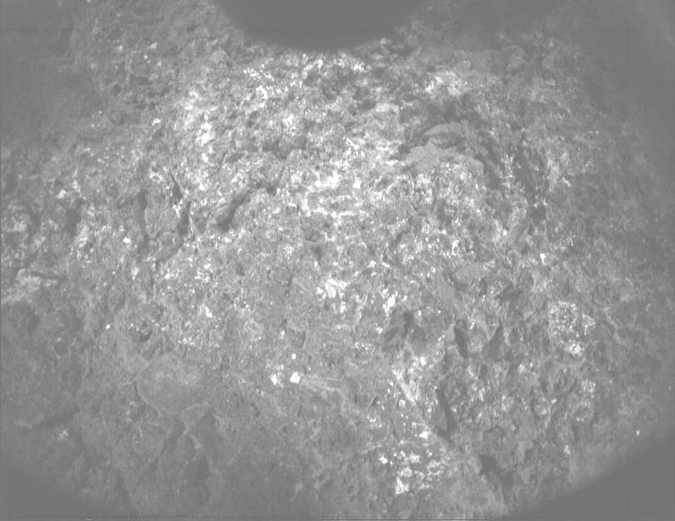 This image was taken by PIXL_MCC onboard NASA's Mars rover Perseverance on Sol 895