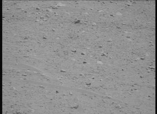 View image taken on Mars, Mars Perseverance Sol 895: Left Mastcam-Z Camera