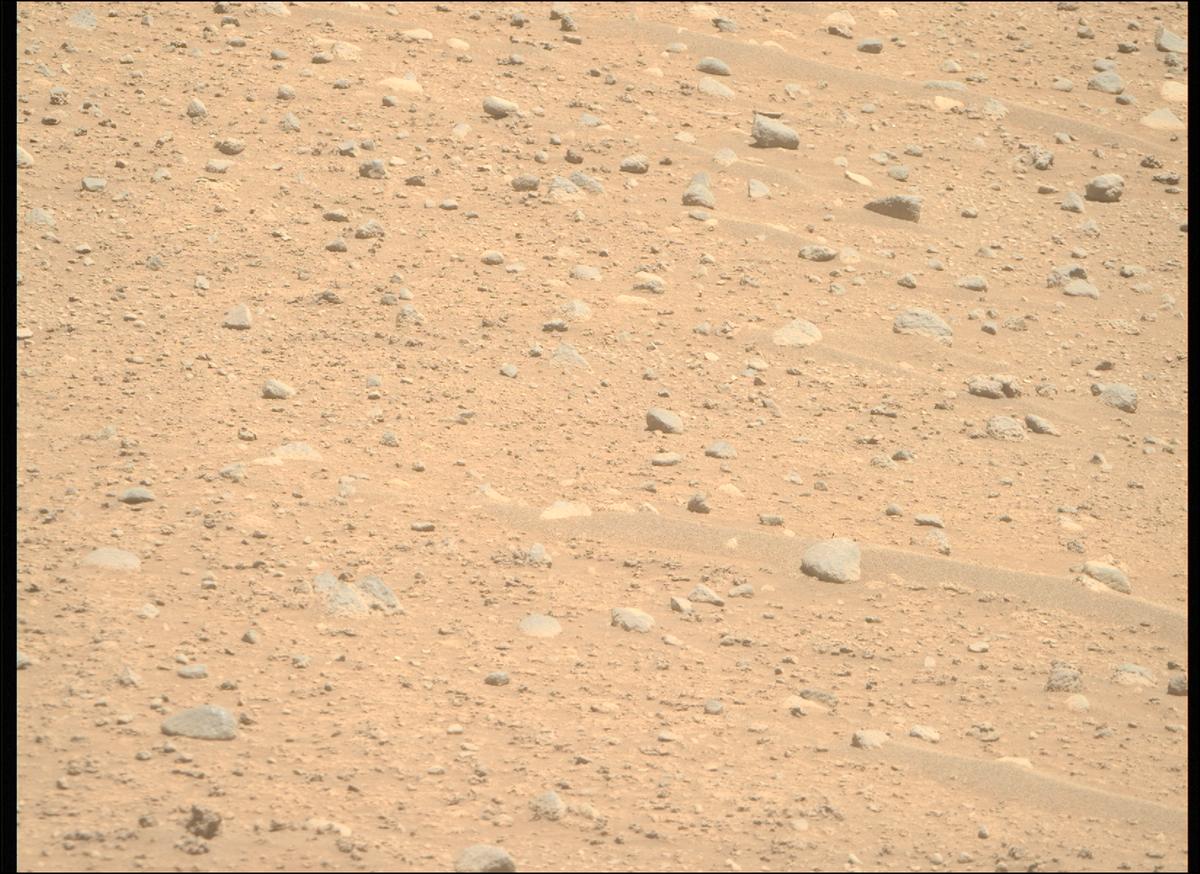 This image was taken by MCZ_RIGHT onboard NASA's Mars rover Perseverance on Sol 895