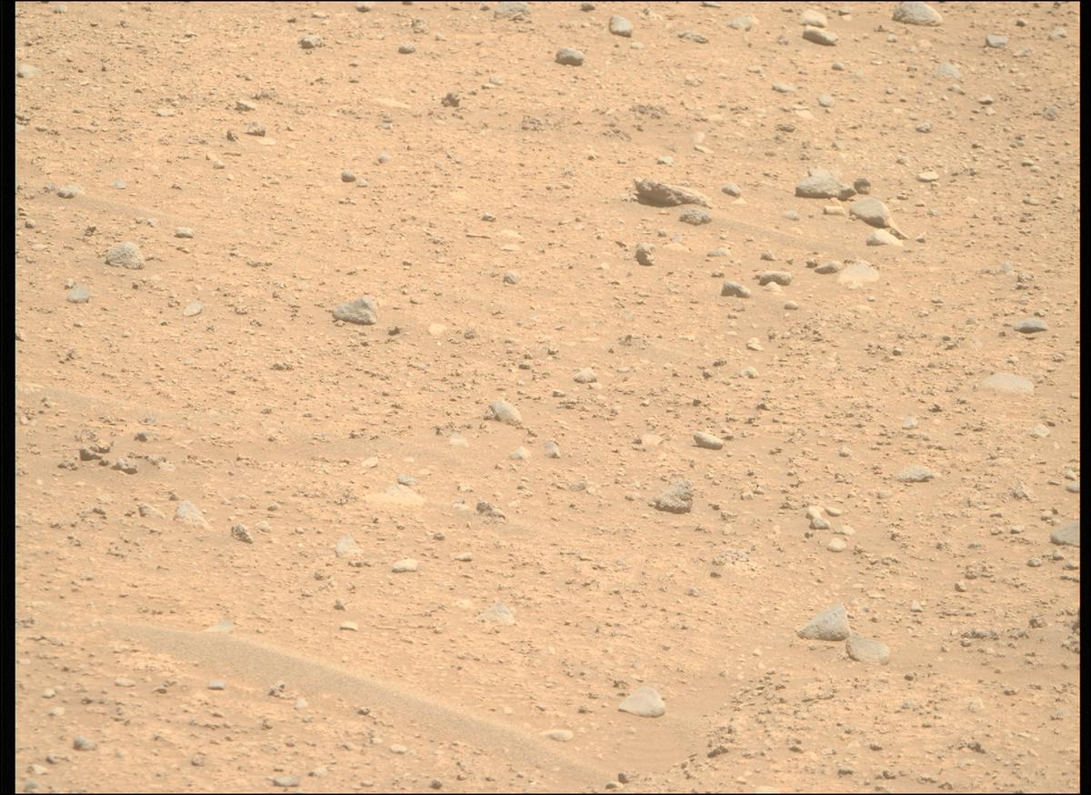 This image was taken by MCZ_RIGHT onboard NASA's Mars rover Perseverance on Sol 895