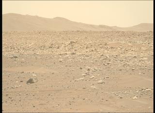 View image taken on Mars, Mars Perseverance Sol 896: Left Mastcam-Z Camera