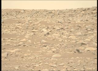 View image taken on Mars, Mars Perseverance Sol 896: Left Mastcam-Z Camera