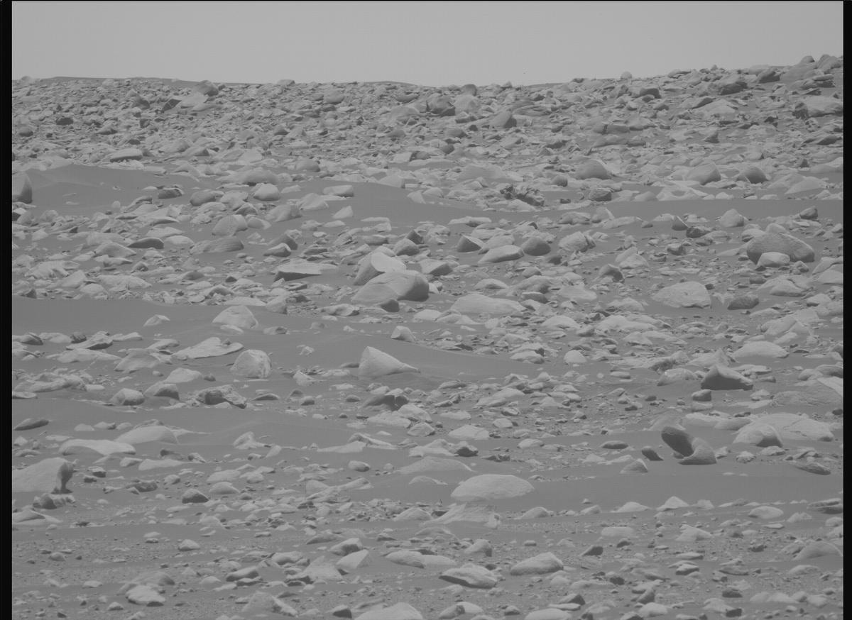 This image was taken by MCZ_LEFT onboard NASA's Mars rover Perseverance on Sol 896