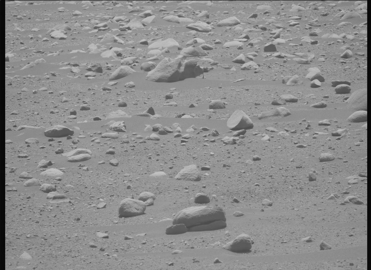 This image was taken by MCZ_LEFT onboard NASA's Mars rover Perseverance on Sol 896