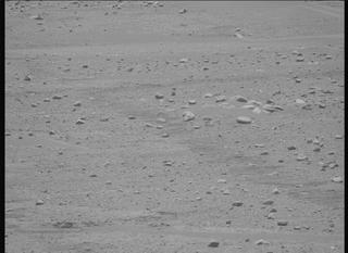 View image taken on Mars, Mars Perseverance Sol 896: Left Mastcam-Z Camera