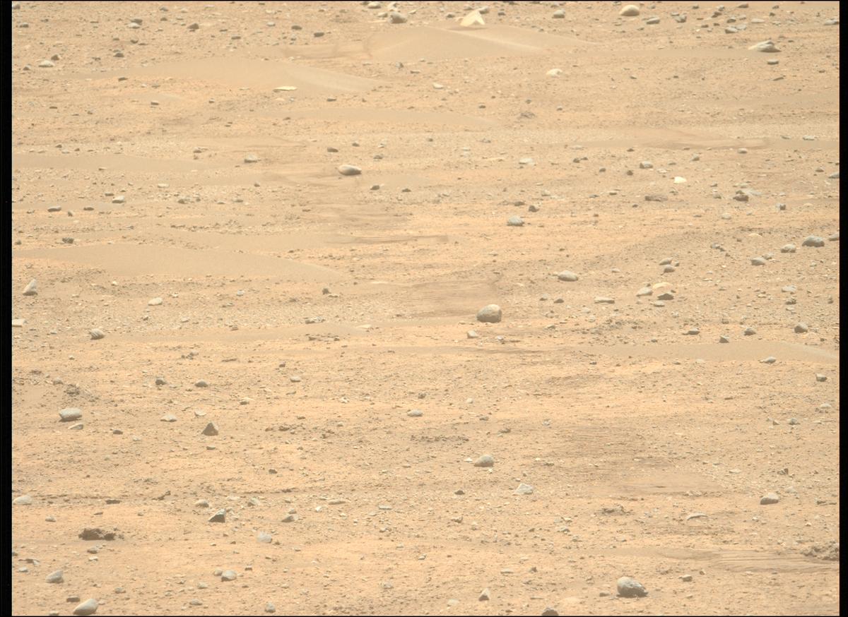 This image was taken by MCZ_LEFT onboard NASA's Mars rover Perseverance on Sol 896