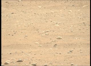 View image taken on Mars, Mars Perseverance Sol 896: Left Mastcam-Z Camera