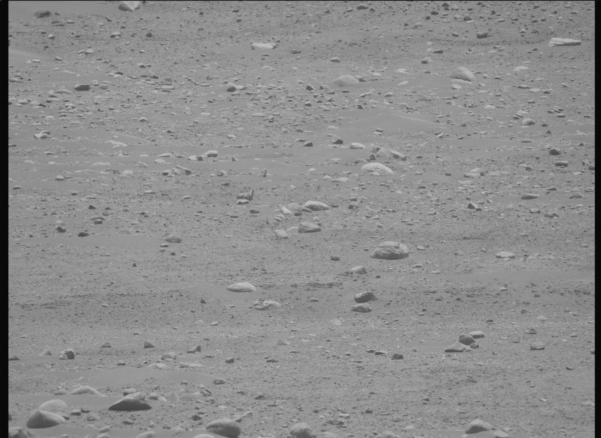 This image was taken by MCZ_LEFT onboard NASA's Mars rover Perseverance on Sol 896