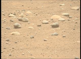 View image taken on Mars, Mars Perseverance Sol 896: Left Mastcam-Z Camera