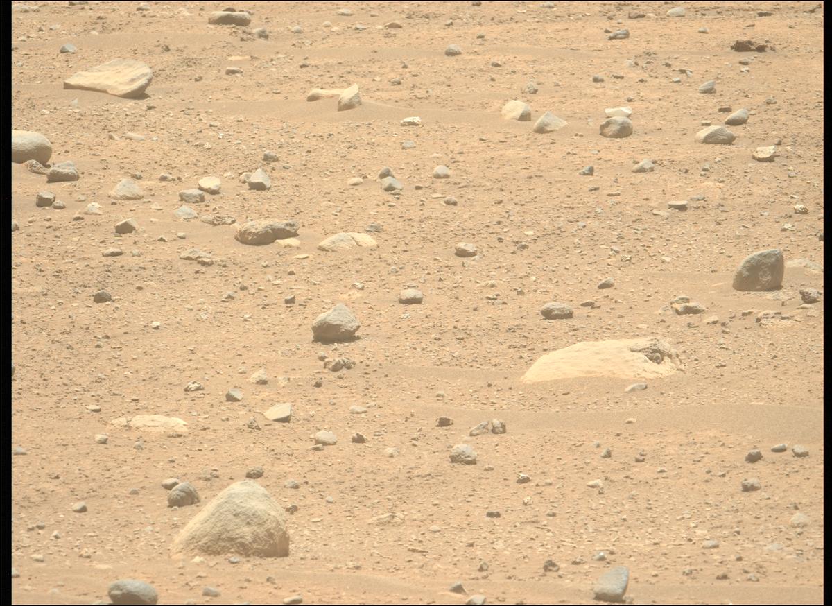 This image was taken by MCZ_LEFT onboard NASA's Mars rover Perseverance on Sol 896