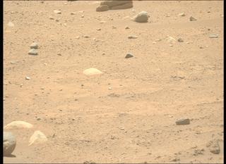 View image taken on Mars, Mars Perseverance Sol 896: Left Mastcam-Z Camera