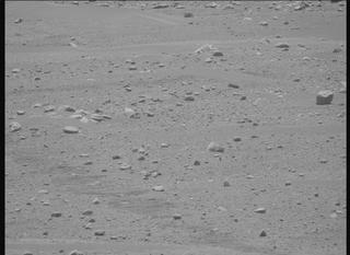 View image taken on Mars, Mars Perseverance Sol 896: Right Mastcam-Z Camera