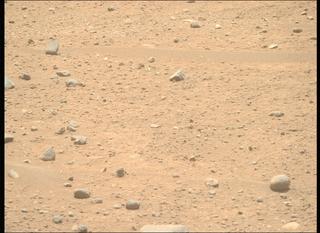 View image taken on Mars, Mars Perseverance Sol 896: Right Mastcam-Z Camera