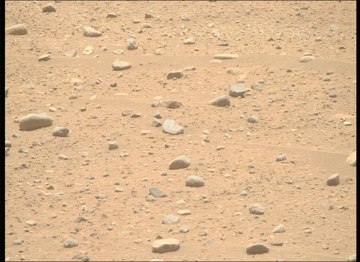This image was taken by MCZ_RIGHT onboard NASA's Mars rover Perseverance on Sol 896