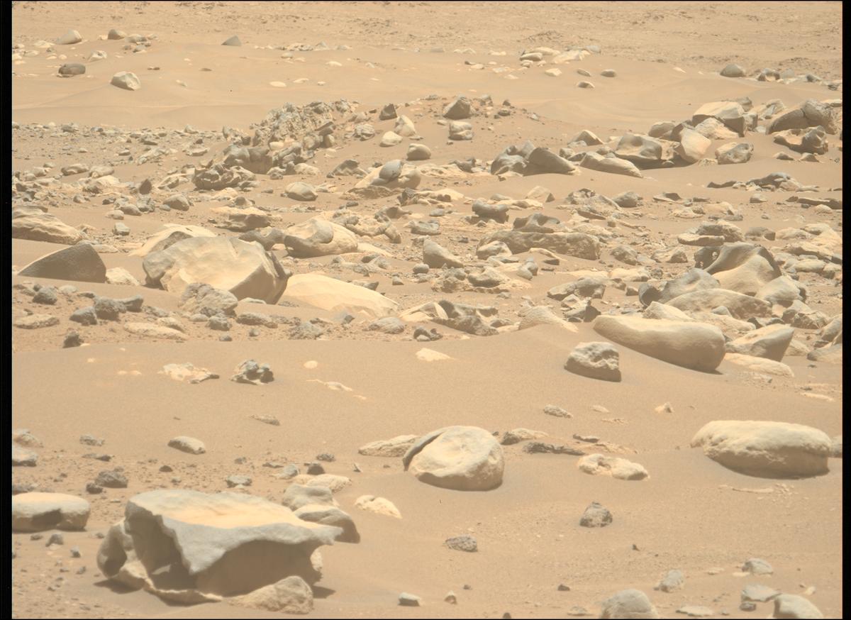 This image was taken by MCZ_LEFT onboard NASA's Mars rover Perseverance on Sol 897
