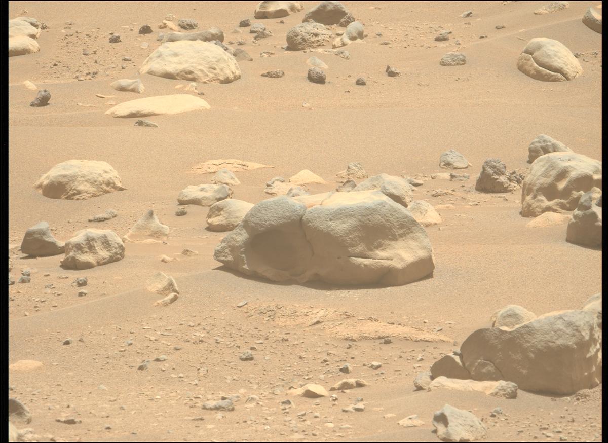This image was taken by MCZ_LEFT onboard NASA's Mars rover Perseverance on Sol 897