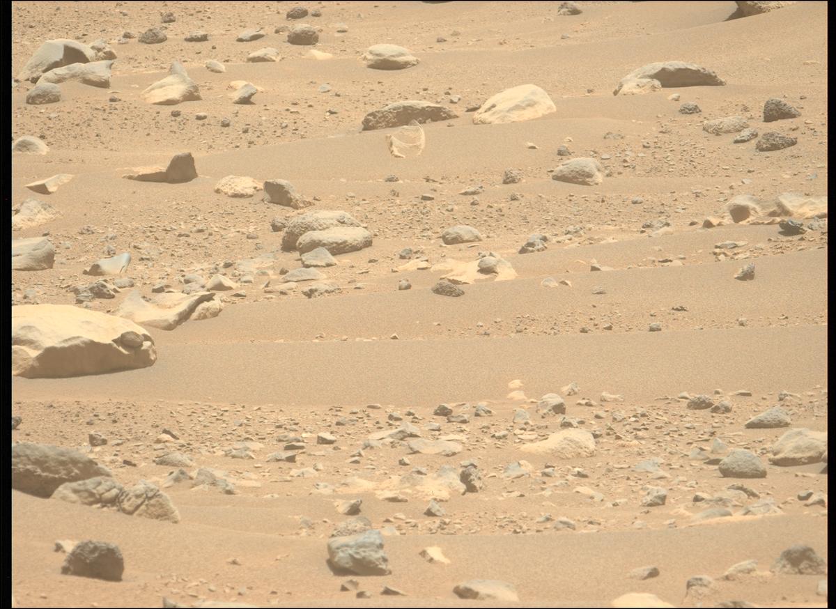 This image was taken by MCZ_LEFT onboard NASA's Mars rover Perseverance on Sol 897