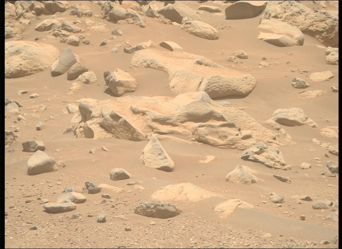 This image was taken by MCZ_RIGHT onboard NASA's Mars rover Perseverance on Sol 897
