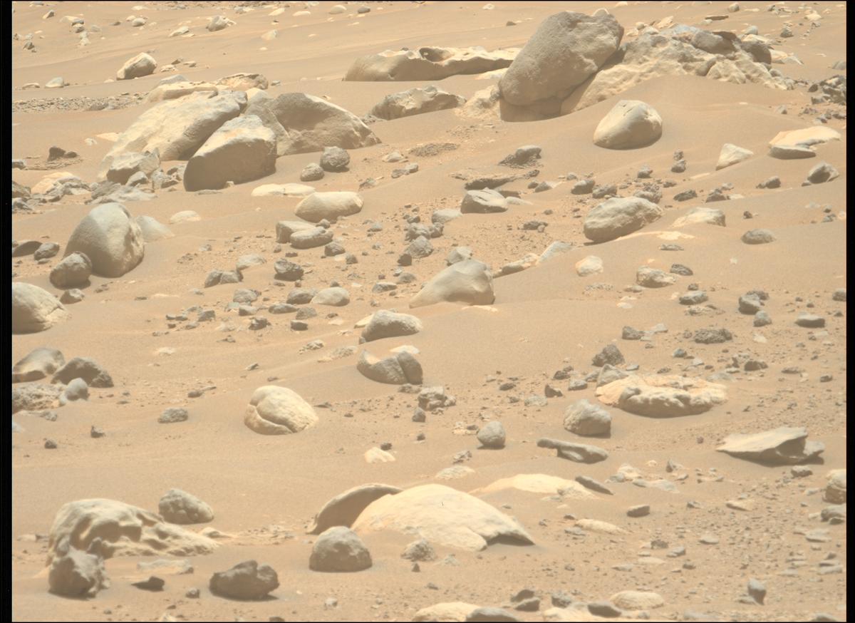 This image was taken by MCZ_LEFT onboard NASA's Mars rover Perseverance on Sol 901