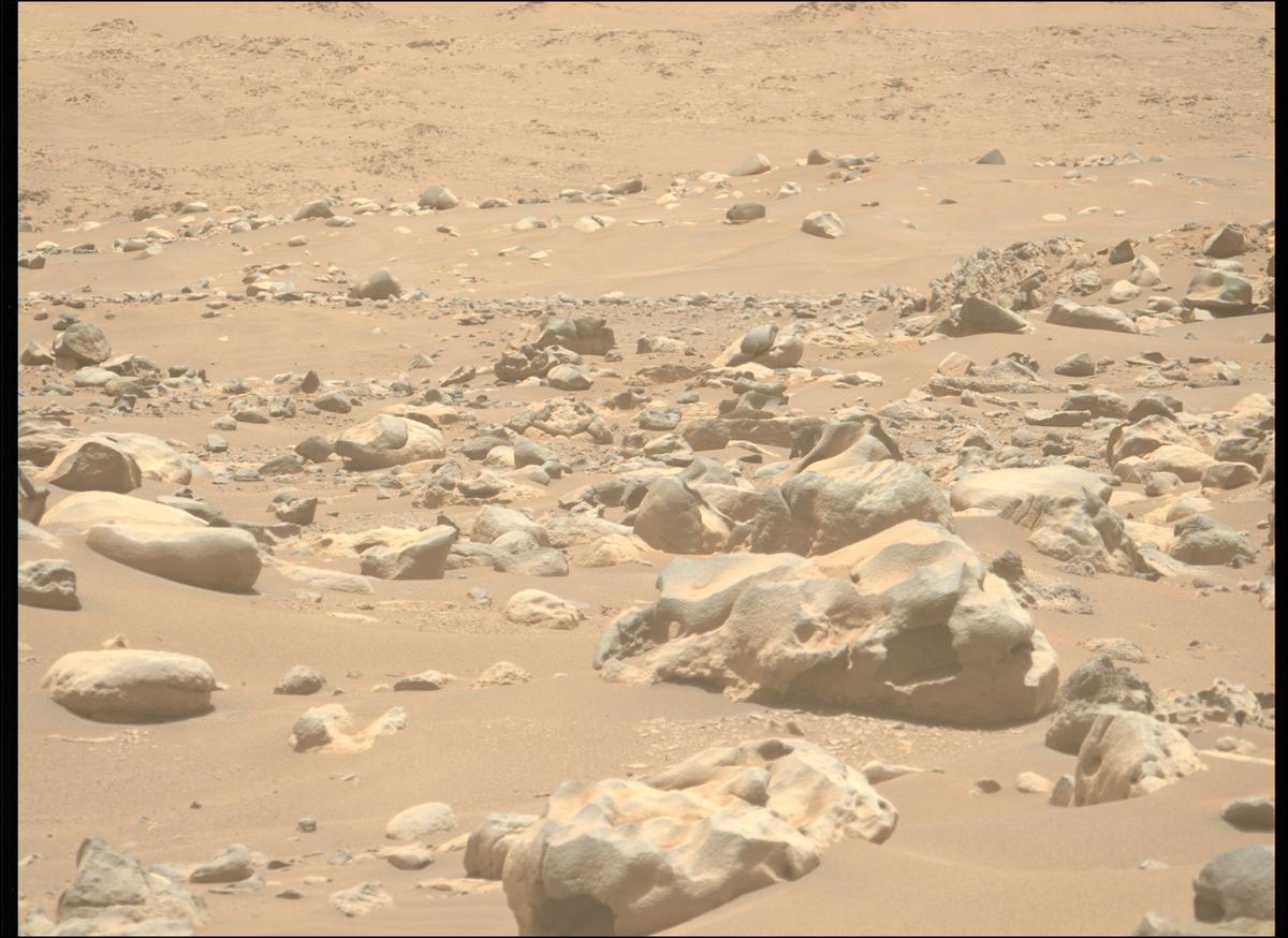 This image was taken by MCZ_LEFT onboard NASA's Mars rover Perseverance on Sol 901