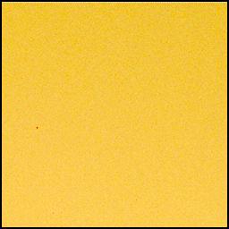 View image taken on Mars, Mars Perseverance Sol 901: Left Mastcam-Z Camera