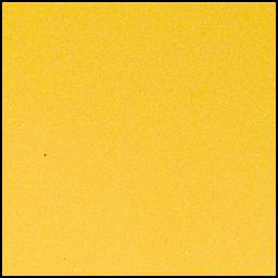 View image taken on Mars, Mars Perseverance Sol 901: Left Mastcam-Z Camera