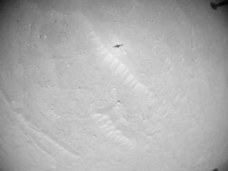 View image taken on Mars, Mars Helicopter Sol 902: Navigation Camera