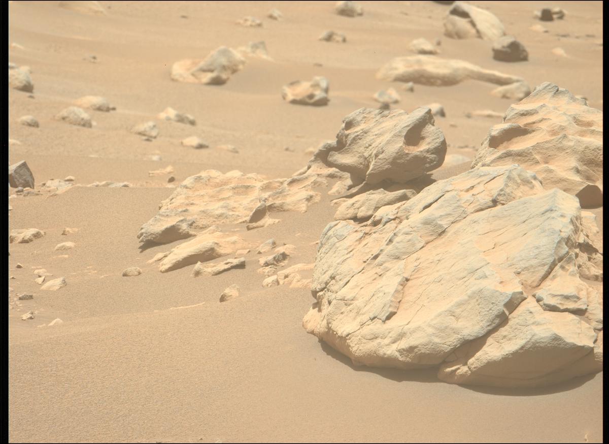 This image was taken by MCZ_LEFT onboard NASA's Mars rover Perseverance on Sol 902
