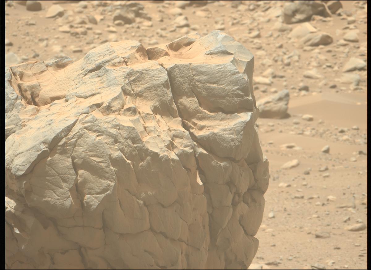 This image was taken by MCZ_LEFT onboard NASA's Mars rover Perseverance on Sol 902